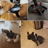 Extra BELLARO Namensschilder