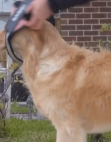 BELLARO - Anti-Zug Hundegeschirr für mehr Sicherheit & Komfort