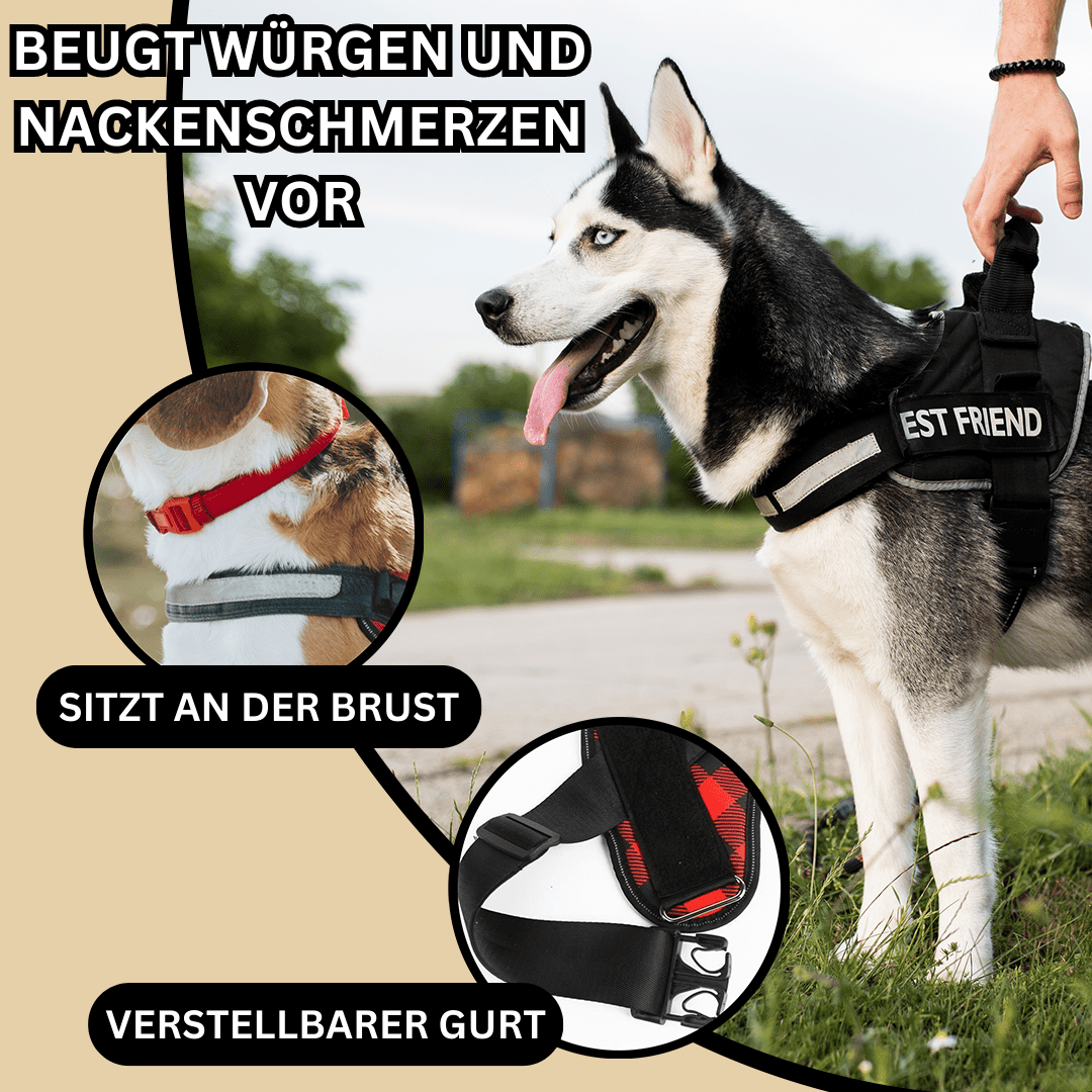BELLARO - Anti-Zug Hundegeschirr für mehr Sicherheit & Komfort