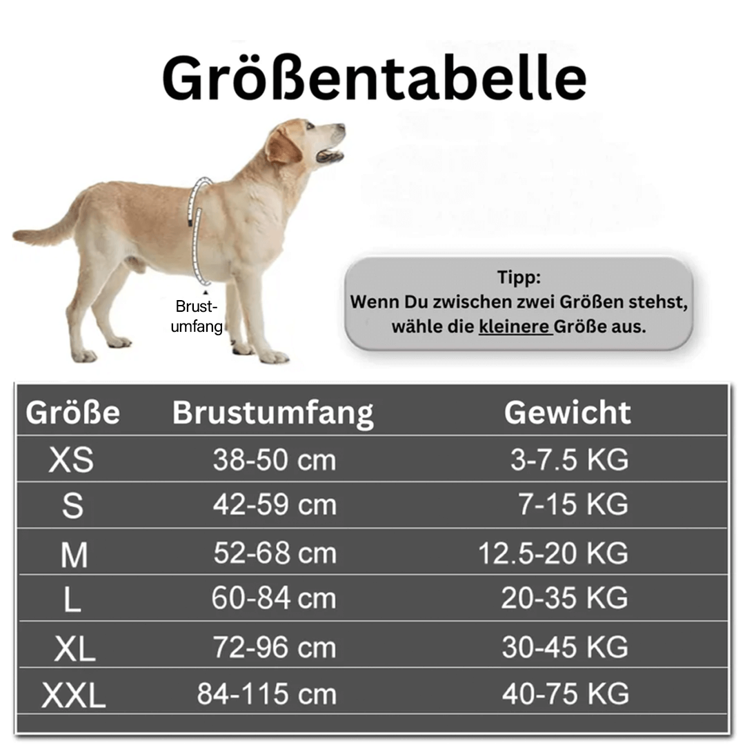 BELLARO - Anti-Zug Hundegeschirr für mehr Sicherheit & Komfort
