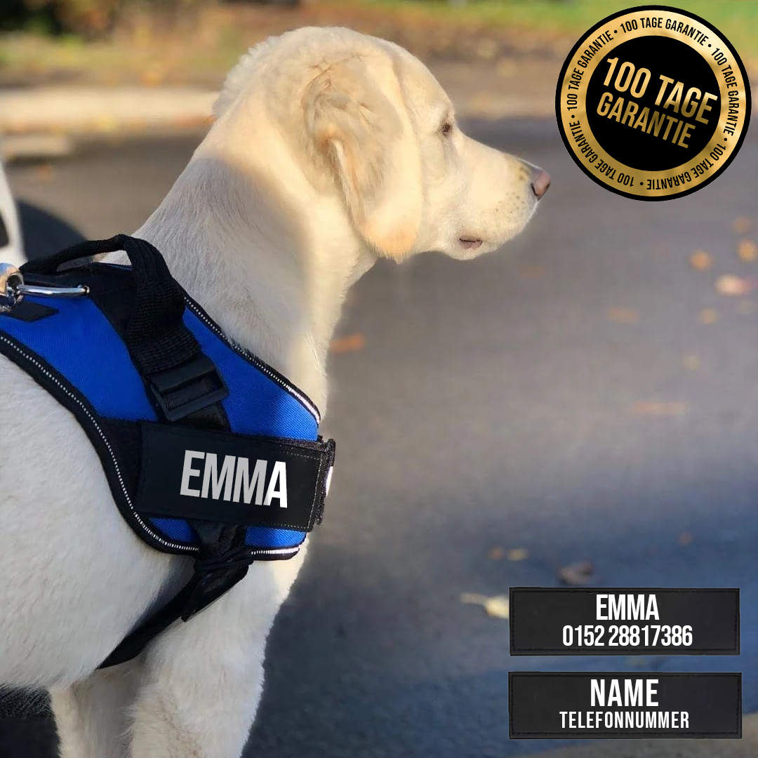 BELLARO - Anti-Zug Hundegeschirr für mehr Sicherheit & Komfort